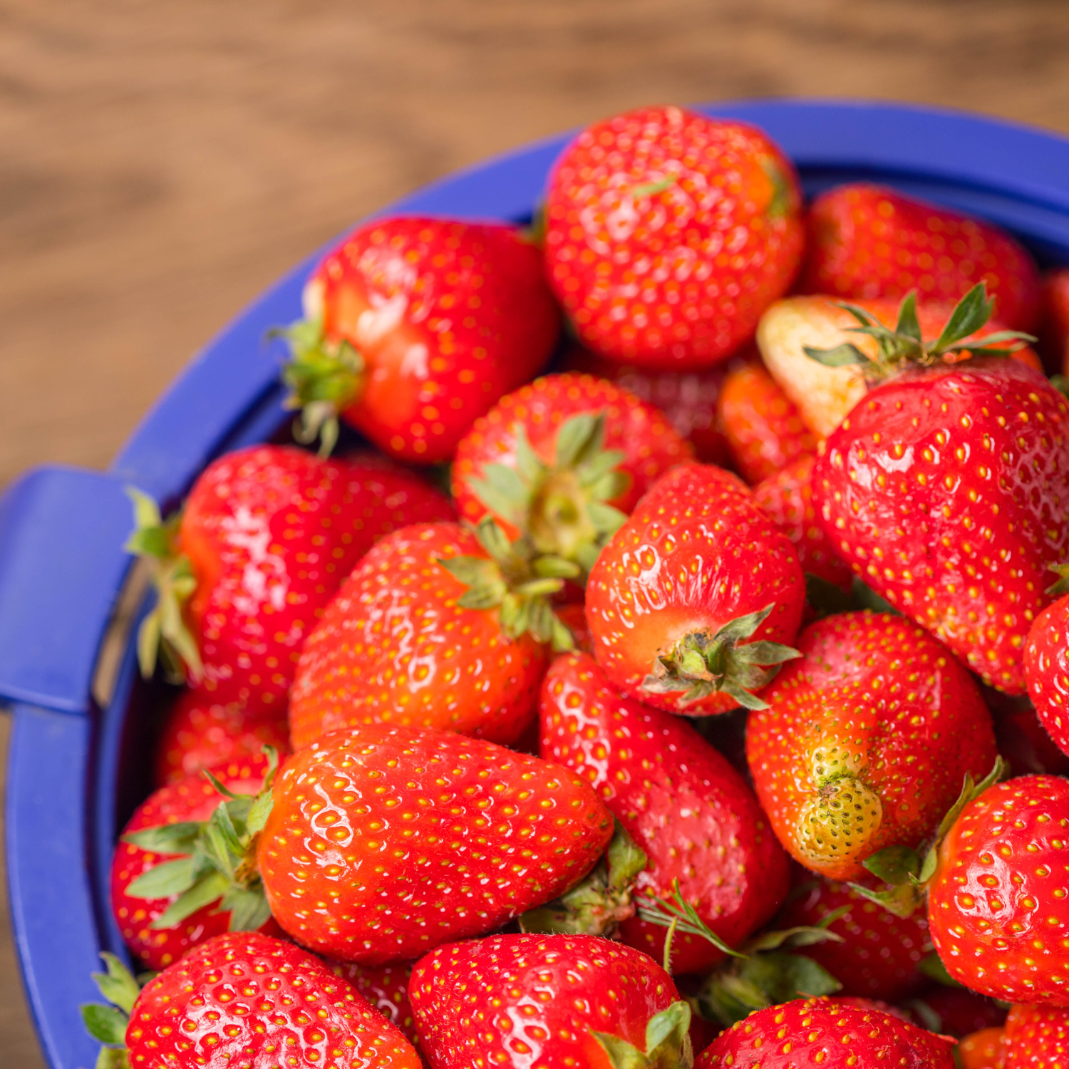 How to Plant and Grow Strawberries - Harvest to Table