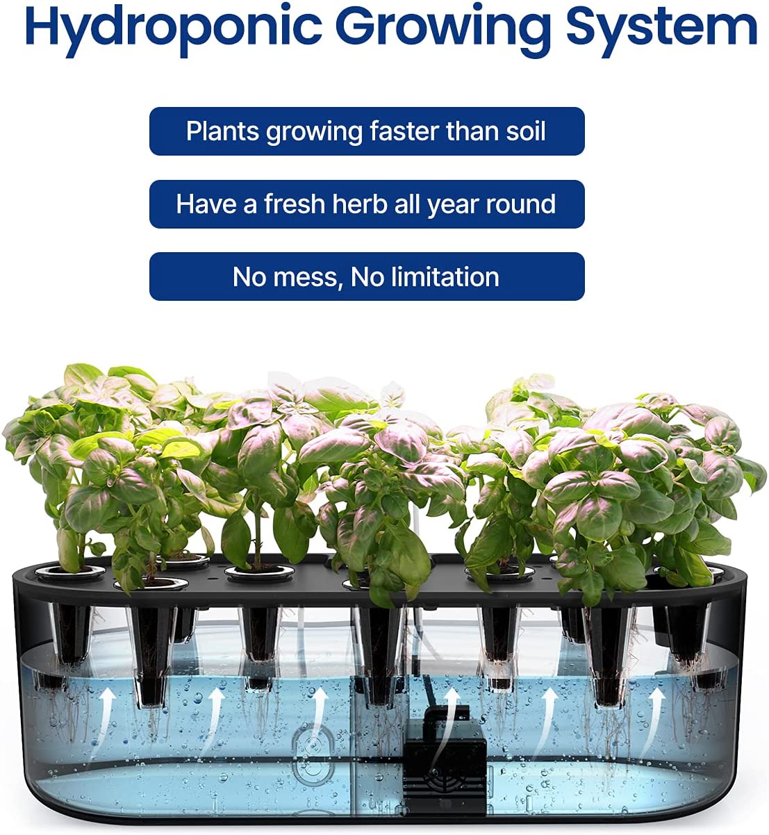 Idoo hydroponics store growing system seeds