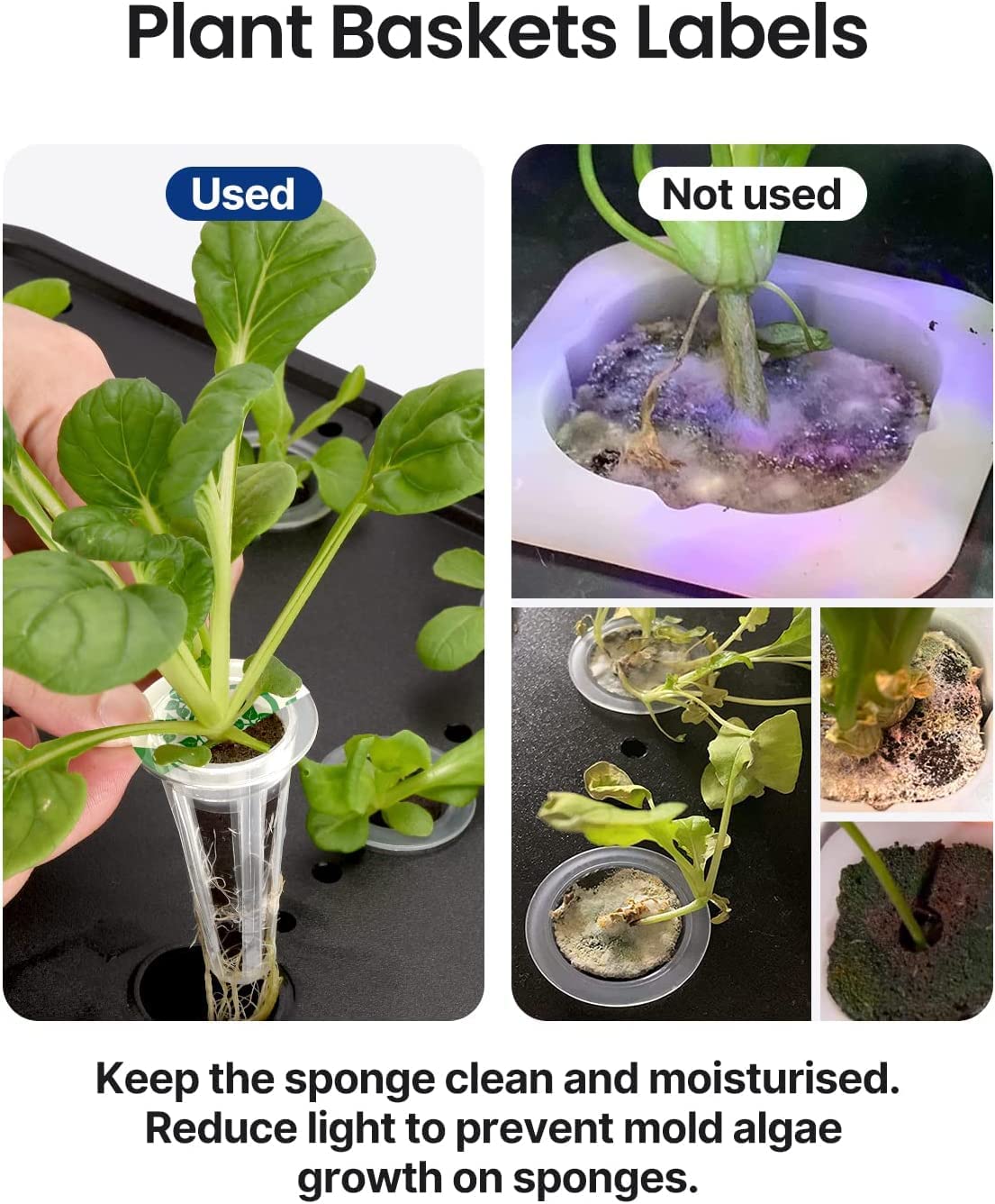 Idoo hydroponics store growing system seeds